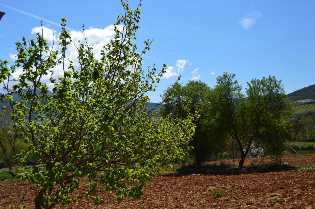 Bed and Breakfast Cortijo Petra Villanueva del Rosario Exterior foto